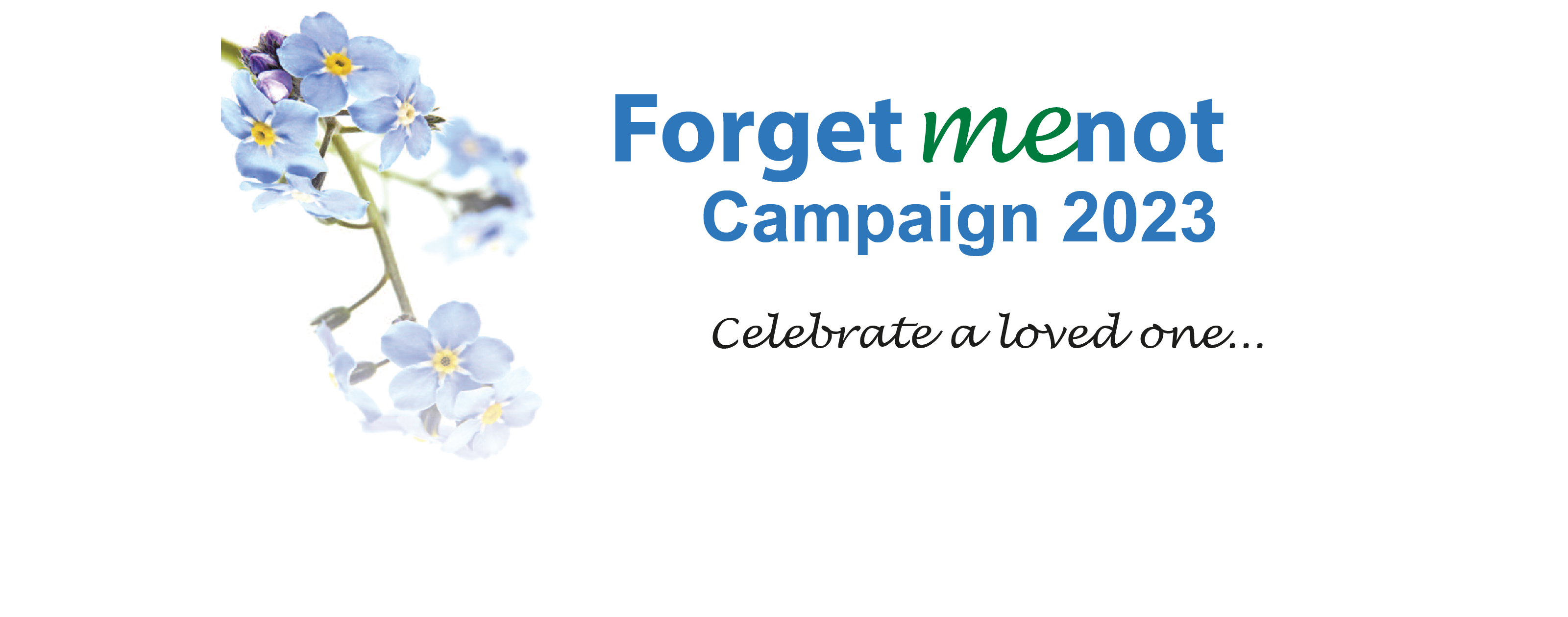 Forget Me Not 2023