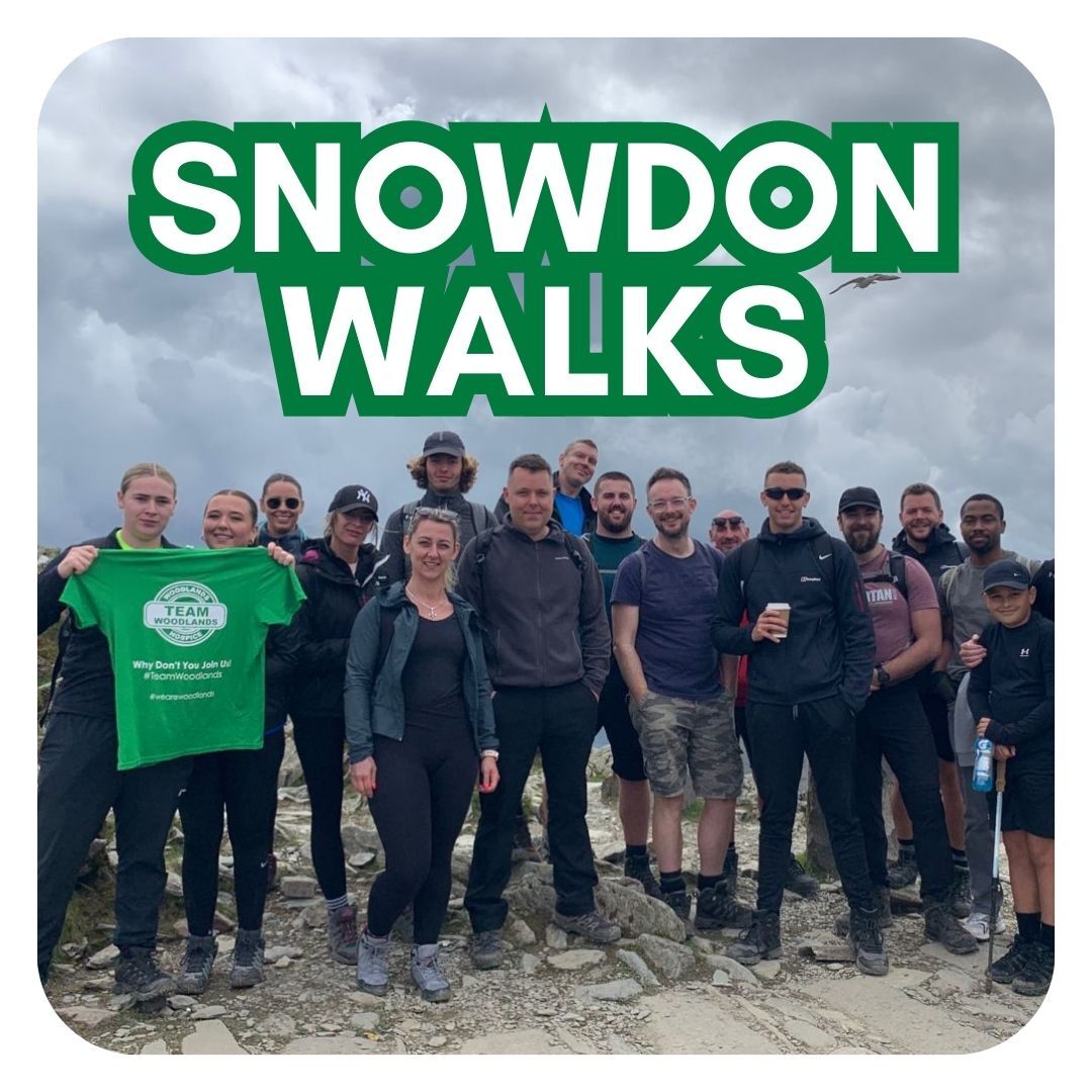 Snowdon tile