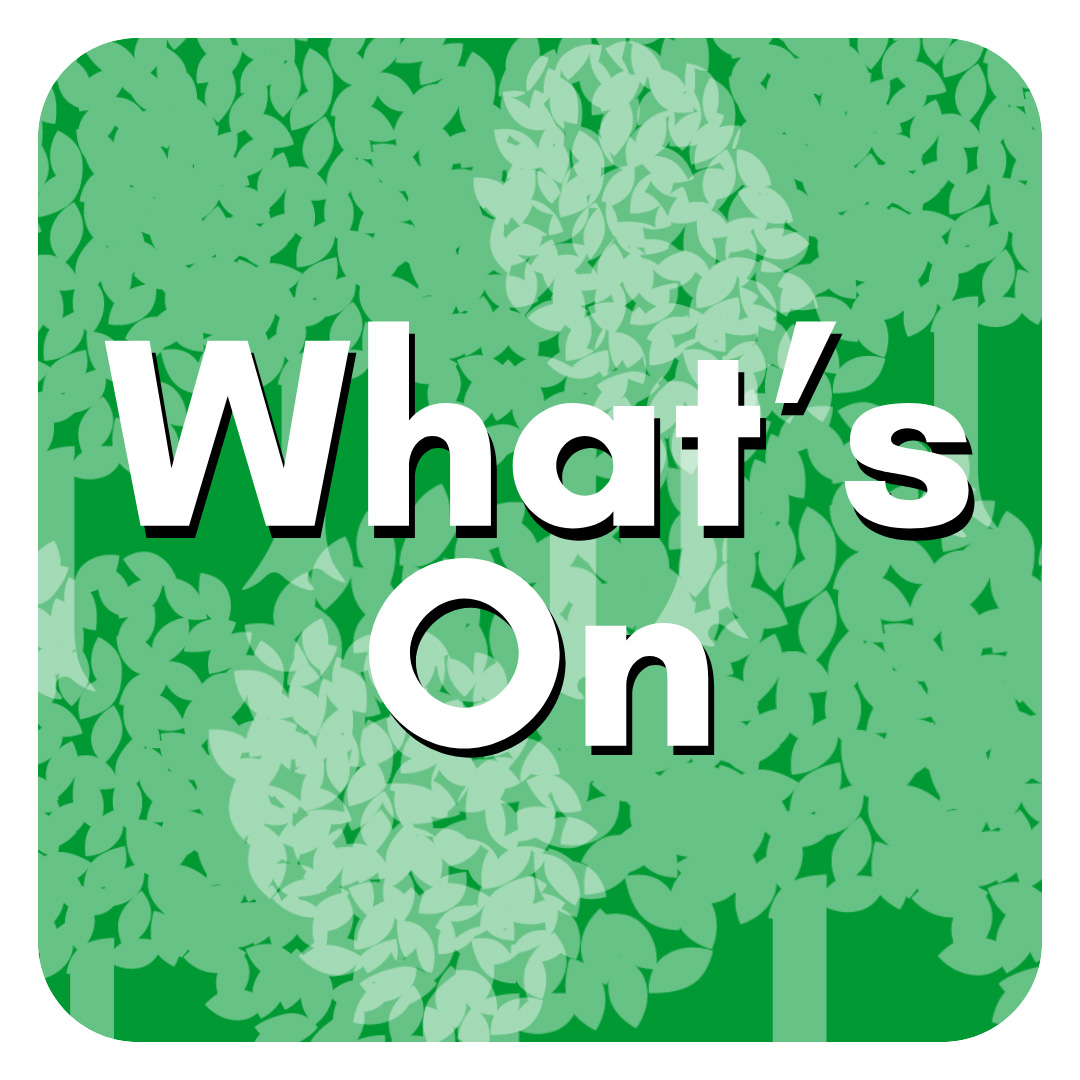 what's on