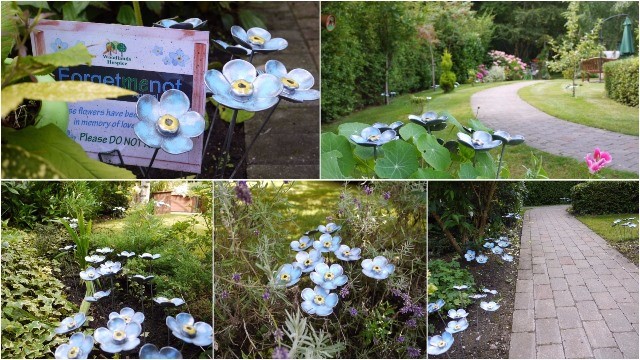 Forget Me Not Display August