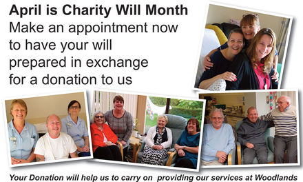 Make-a-will-month-panel