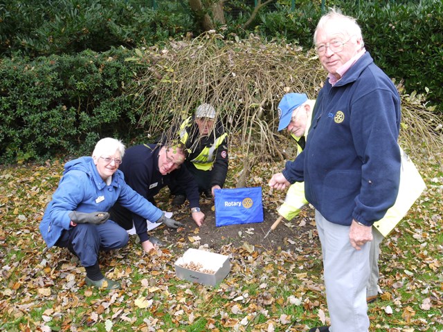 Crocus Flower Donation