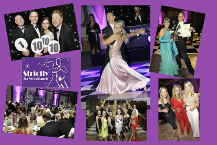 strictly preview montage